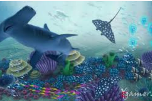 大小单双导师带赚包赔